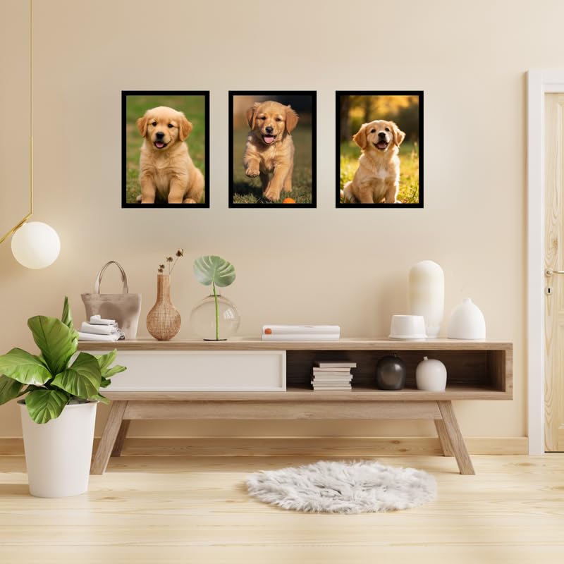 Puppy A4 Black Wooden Photo Frame Pack | 8x12 Set of 3 Wall Mount Frames for Family Photos